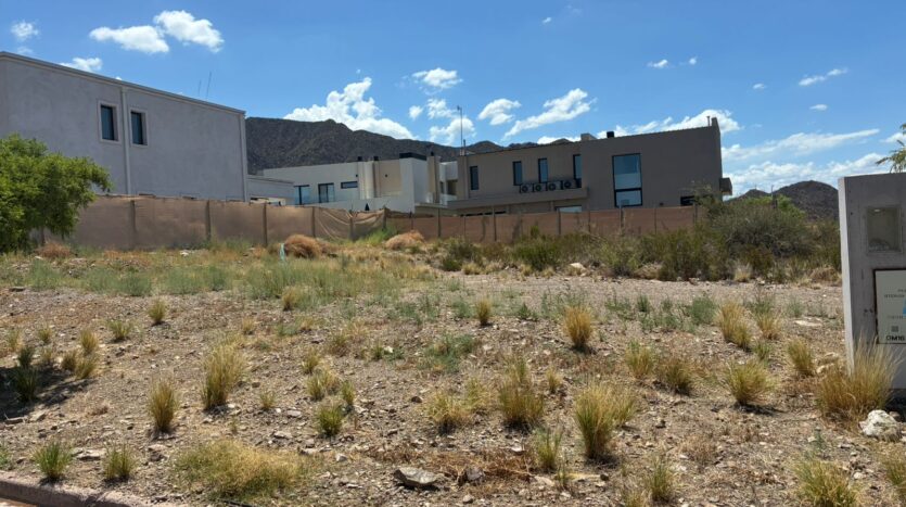 LOTE EN MENDOZA NORTE COUNTRY CLUB, EL CHALLAO