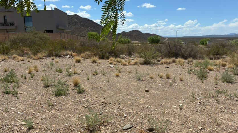 LOTE EN MENDOZA NORTE COUNTRY CLUB, EL CHALLAO